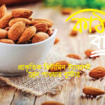 কাঠ বাদাম