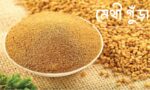 মেথি গুঁড়া (Fenugreek Powder)